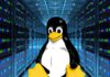 Linux Kernel 6.6: What’s New and Why You Should Care Linux kernel
