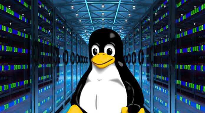 Linux Kernel 6.6: What’s New and Why You Should Care Linux kernel