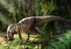 Discovering a Dinosaur’s Last Meal: A Glimpse into Prehistoric Diets
