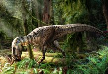 Discovering a Dinosaur’s Last Meal: A Glimpse into Prehistoric Diets