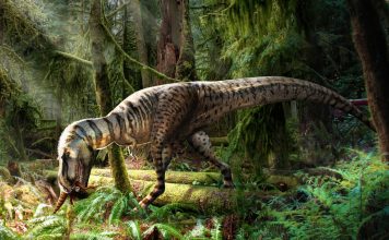 Discovering a Dinosaur’s Last Meal: A Glimpse into Prehistoric Diets