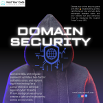 Domain Security Essentials: Safeguarding Your Online Identity and Reputation