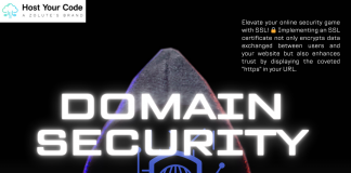 Domain Security Essentials: Safeguarding Your Online Identity and Reputation