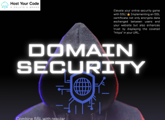 Domain Security Essentials: Safeguarding Your Online Identity and Reputation