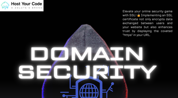 Domain Security Essentials: Safeguarding Your Online Identity and Reputation