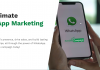 Unlocking Business Success: The Ultimate Guide to WhatsApp Marketing Tools Send My Campaign