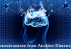 Is Human Consciousness from Another Dimension? A Scientist Thinks So! Consciousness