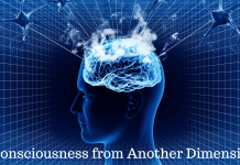 Is Human Consciousness from Another Dimension? A Scientist Thinks So! Consciousness