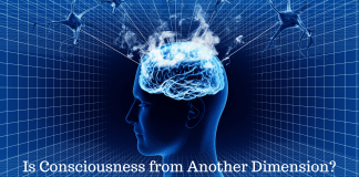 Is Human Consciousness from Another Dimension? A Scientist Thinks So! Consciousness