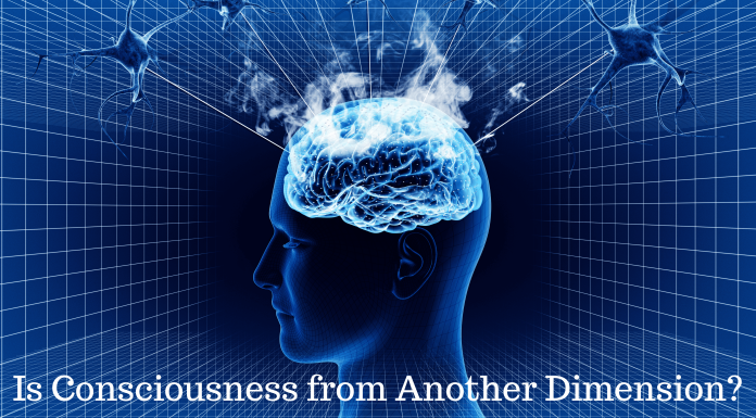 Is Human Consciousness from Another Dimension? A Scientist Thinks So! Consciousness