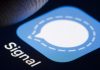 Why is Signal the Most Downloaded App in the Netherlands? Why is Signal the Most Downloaded App in the Netherlands?
