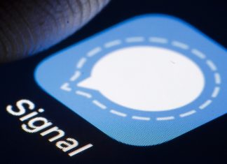 Why is Signal the Most Downloaded App in the Netherlands? Why is Signal the Most Downloaded App in the Netherlands?