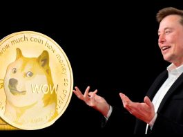 Elon Musk Says He’ll Step Down from Dogecoin Role After Big U.S. Deficit Fix