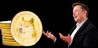 Elon Musk Says He’ll Step Down from Dogecoin Role After Big U.S. Deficit Fix Elon Musk Says He’ll Step Down from Dogecoin Role After Big U.S. Deficit Fix