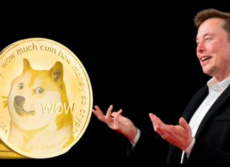 Elon Musk Says He’ll Step Down from Dogecoin Role After Big U.S. Deficit Fix Elon Musk Says He’ll Step Down from Dogecoin Role After Big U.S. Deficit Fix