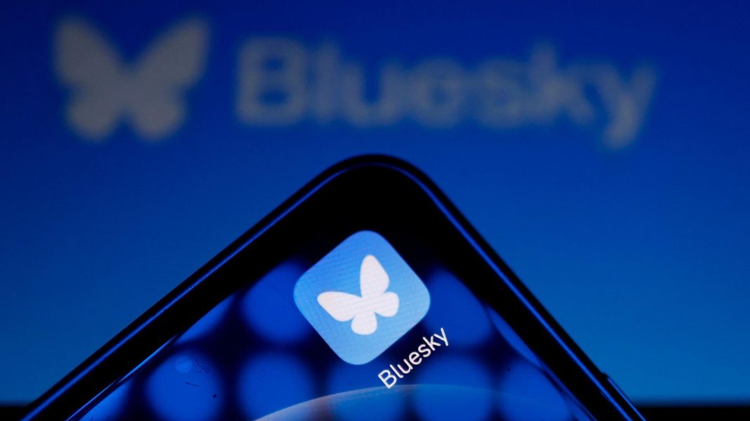 Bluesky's Hour-Long Outage: Understanding the Vulnerabilities in Decentralized Social Networks