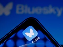 Bluesky's Hour-Long Outage: Understanding the Vulnerabilities in Decentralized Social Networks