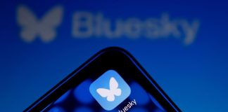 Bluesky’s Hour-Long Outage: Understanding the Vulnerabilities in Decentralized Social Networks Bluesky's Hour-Long Outage: Understanding the Vulnerabilities in Decentralized Social Networks